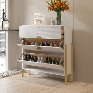 Modern Shoe Storage Cabinet